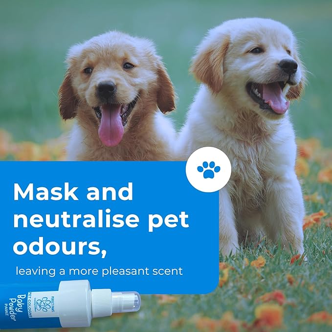 Colognes 200ml - 5 Fragrances - Trade