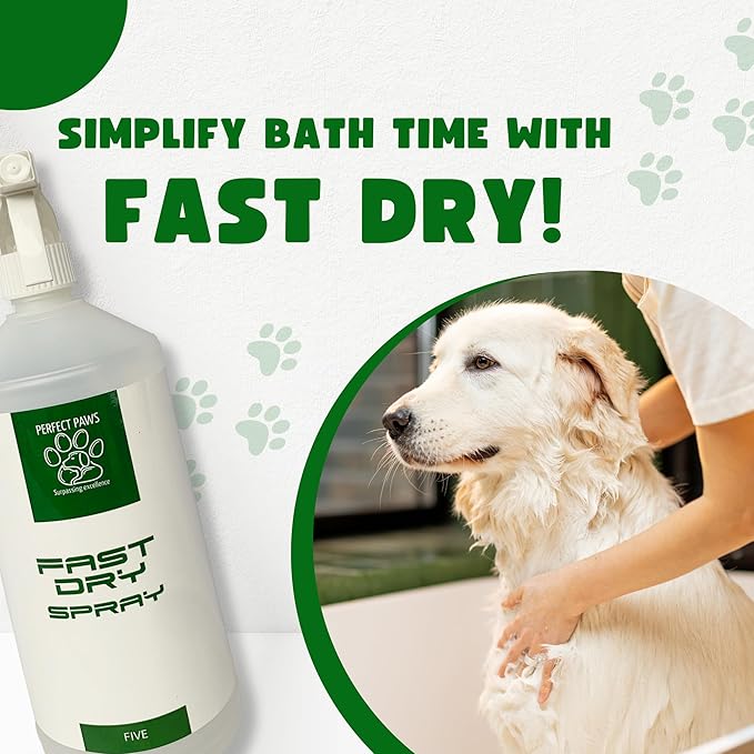 1L Fast Dry - 6 Fragrances - Trade