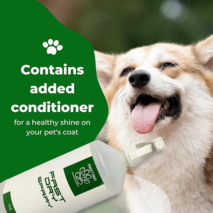 1L Fast Dry - 6 Fragrances - Trade